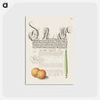 アートポストカード-Mayfly, Apricot, and Reed Grass from Mira Calligraphiae Monumenta
 - 書道のお手本 Postcard.