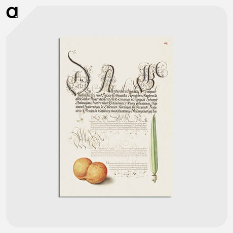 アートポストカード-Mayfly, Apricot, and Reed Grass from Mira Calligraphiae Monumenta
 - 書道のお手本 Postcard.