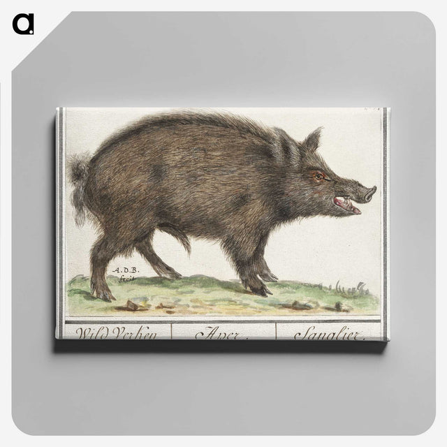 2-59_Anselmus-Boetius-de-Boodt_canvas