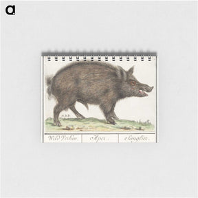 2-59_Anselmus-Boetius-de-Boodt_memo