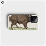 Wild boar - アンセルムス ボエティウス デ ブート Phone Case.