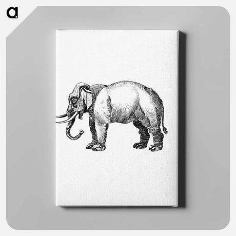 アートパネル-Elephant Engraving
 - 大英図書館 Canvas.
