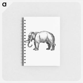 アートメモ帳-Elephant Engraving
 - 大英図書館 Memo.