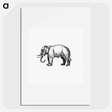 アートポスター-Elephant Engraving
 - 大英図書館 Poster.