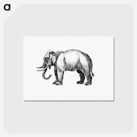 アートポストカード-Elephant Engraving
 - 大英図書館 Postcard.
