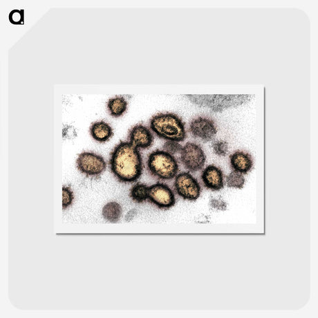 2-59_COVID-19_hagaki