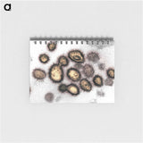 2-59_COVID-19_memo