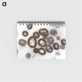 2-59_COVID-19_memo