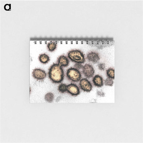 2-59_COVID-19_memo