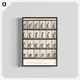 2-59_Eadweard-Muybridge_blk-crop