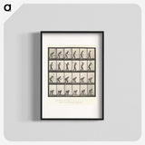 2-59_Eadweard-Muybridge_blk