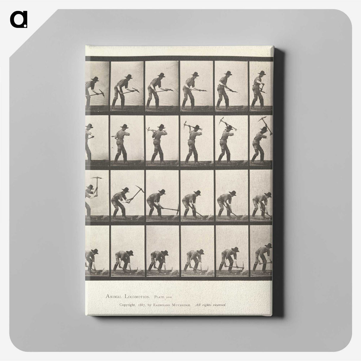 2-59_Eadweard-Muybridge_canvas