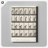 2-59_Eadweard-Muybridge_canvas