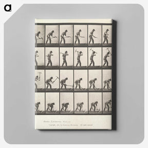 2-59_Eadweard-Muybridge_canvas