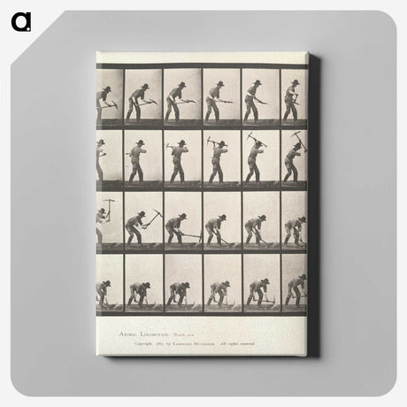 2-59_Eadweard-Muybridge_canvas
