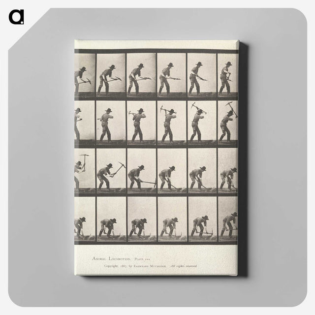2-59_Eadweard-Muybridge_canvas