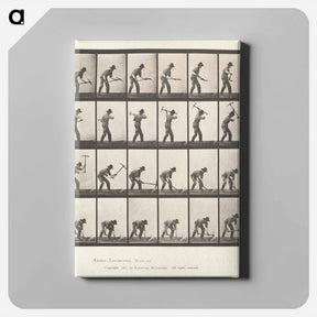 アートパネル-Animal Locomotion
 - エドワード マイブリッジ Canvas.