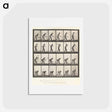アートポストカード-Animal Locomotion
 - エドワード マイブリッジ Postcard.