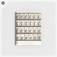 2-59_Eadweard-Muybridge_memo