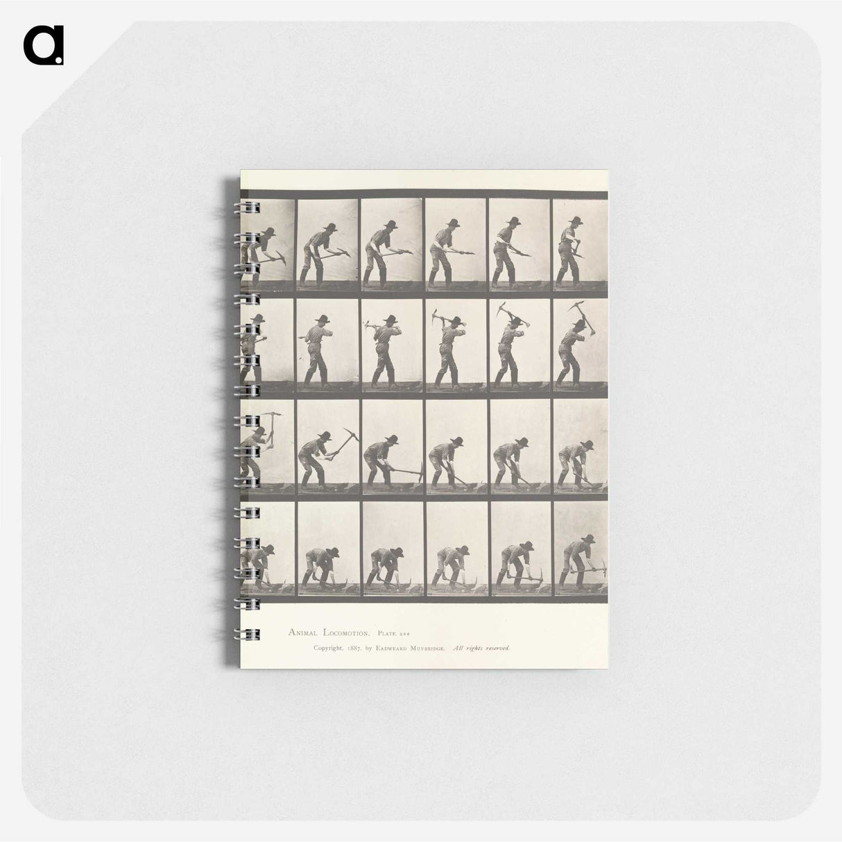 2-59_Eadweard-Muybridge_memo