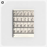 2-59_Eadweard-Muybridge_memo