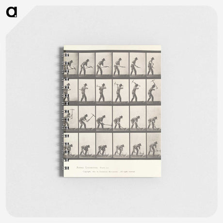 2-59_Eadweard-Muybridge_memo