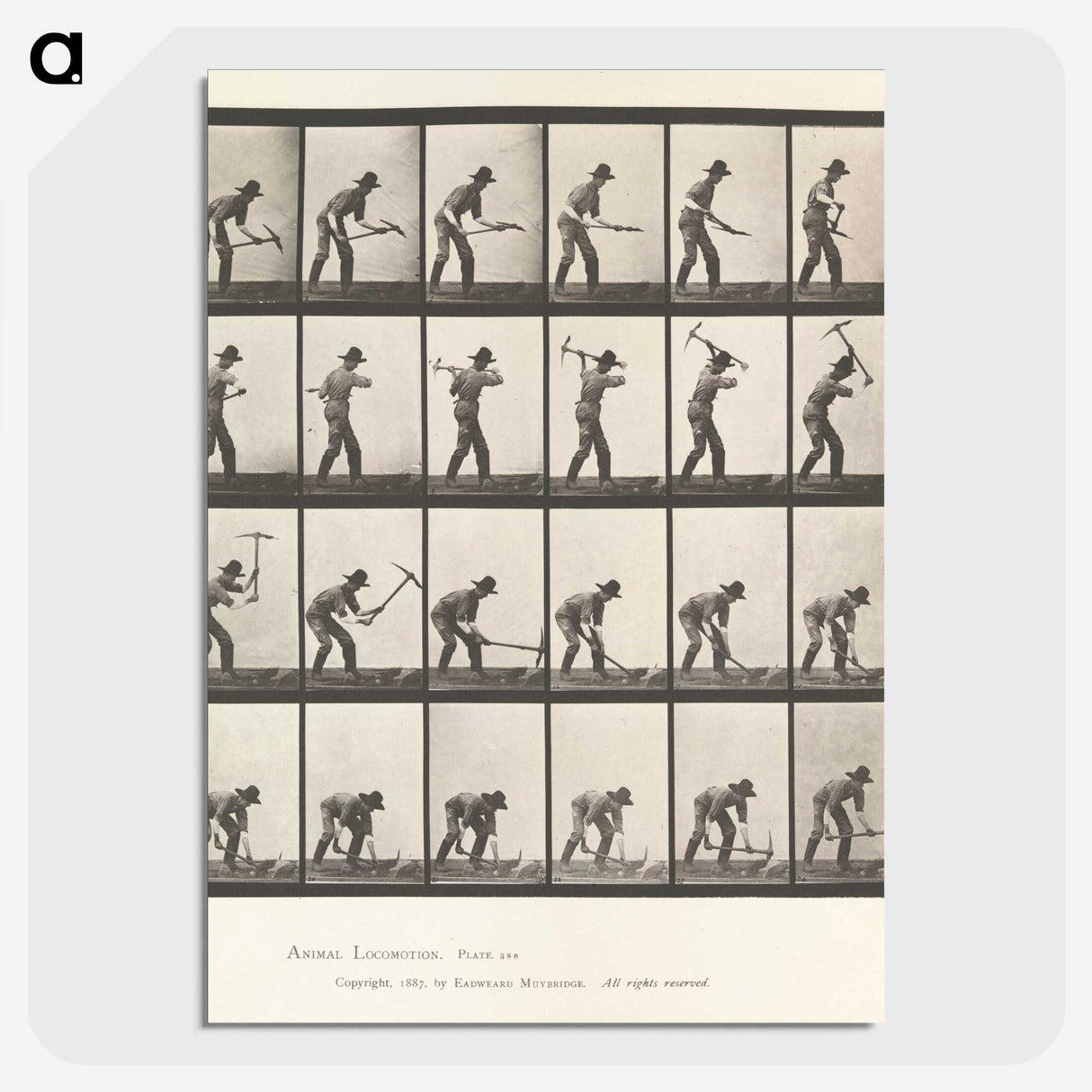 2-59_Eadweard-Muybridge_picture-crop
