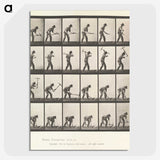 2-59_Eadweard-Muybridge_picture-crop