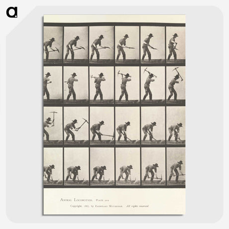 2-59_Eadweard-Muybridge_picture-crop