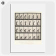 2-59_Eadweard-Muybridge_picture
