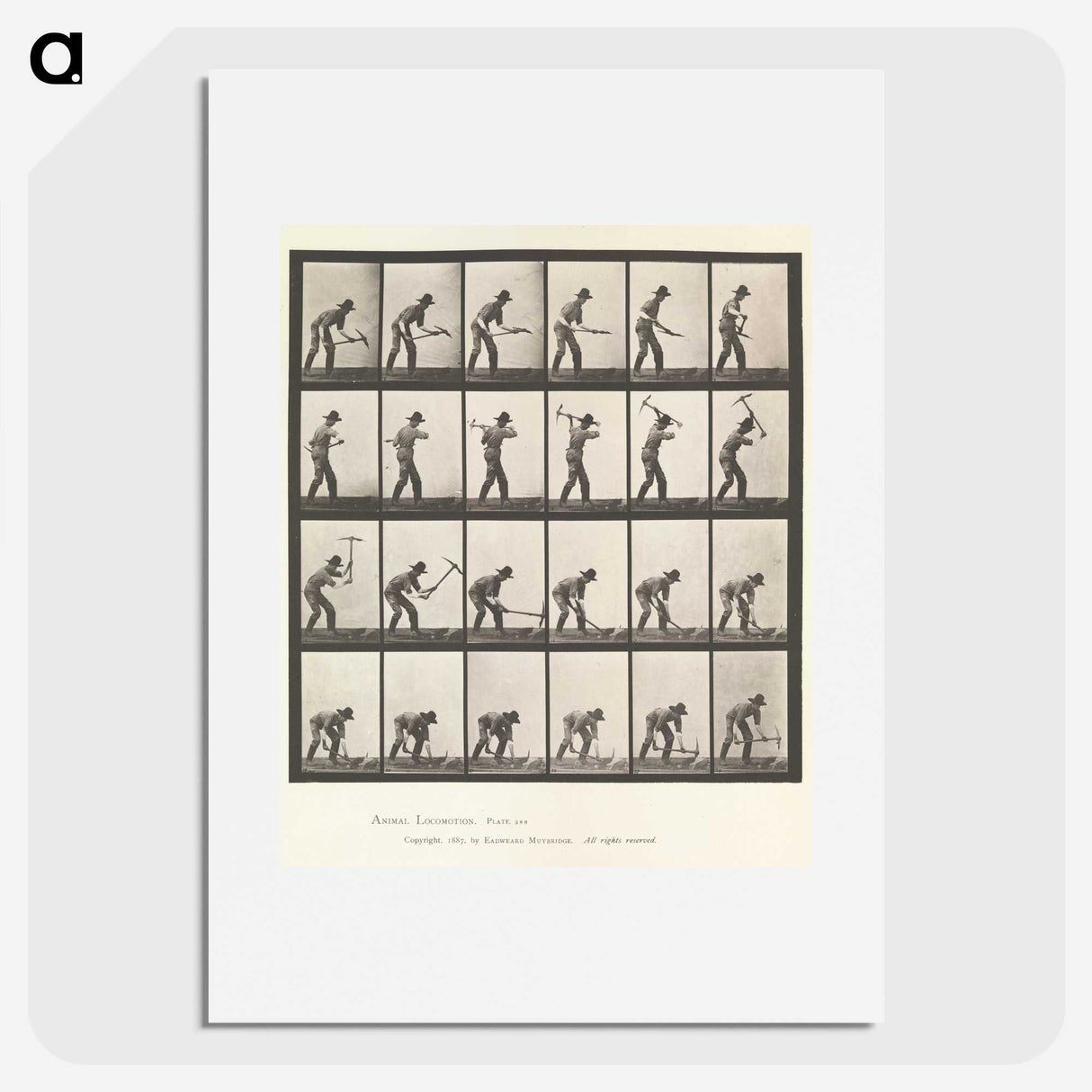 2-59_Eadweard-Muybridge_picture