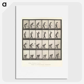 2-59_Eadweard-Muybridge_picture