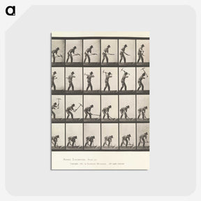 2-59_Eadweard-Muybridge_postcard
