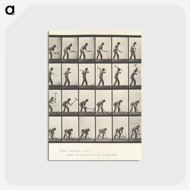 2-59_Eadweard-Muybridge_postcard