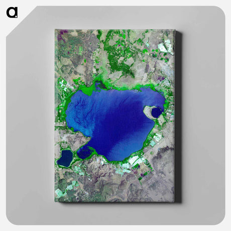 アートパネル-Lake Naivasha from Space
 - 上空からの地球 Canvas.