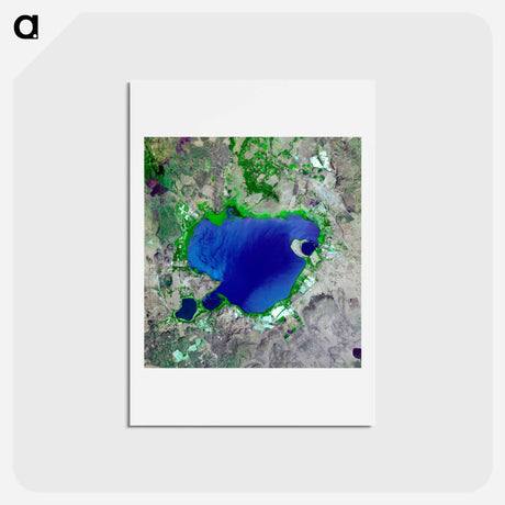 アートポストカード-Lake Naivasha from Space
 - 上空からの地球 Postcard.