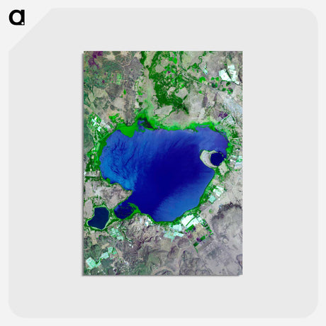 アートポストカード-Lake Naivasha from Space
 - 上空からの地球 Postcard.