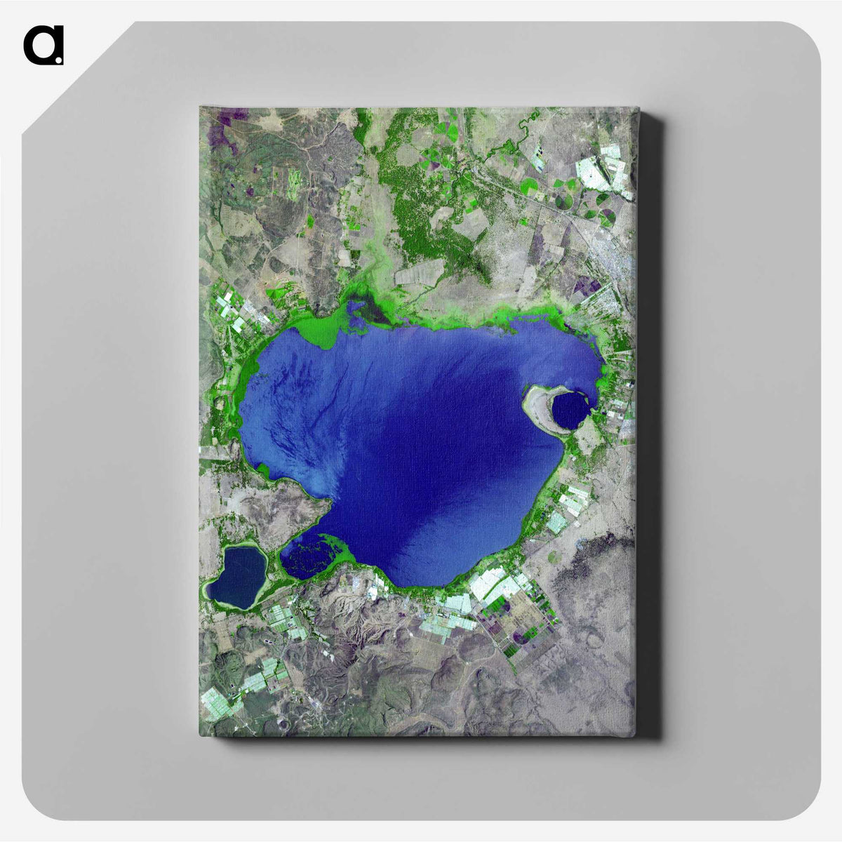 2-59_Earth-from-Above_canvas