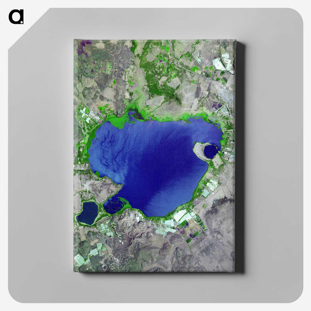 2-59_Earth-from-Above_canvas