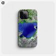 2-59_Earth-from-Above_phone