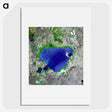 2-59_Earth-from-Above_picture