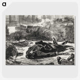 2-59_Edouard-Manet_picture-crop