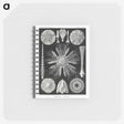 2-59_Ernst-Haeckel_memo