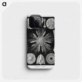 2-59_Ernst-Haeckel_phone