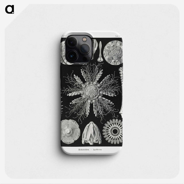 2-59_Ernst-Haeckel_phone