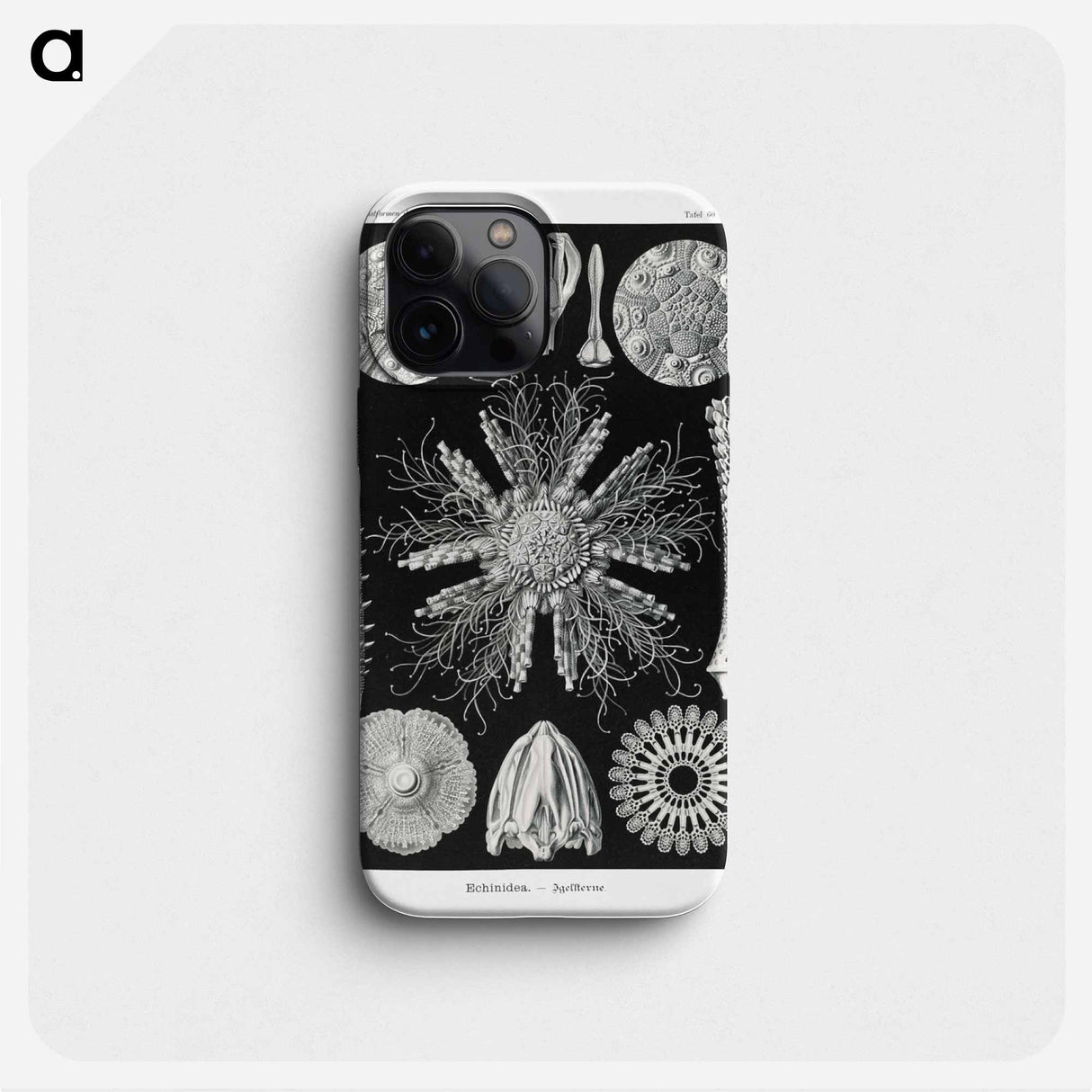 Echinidea–Igelsterne - エルンスト ヘッケル Phone Case.