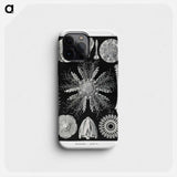 Echinidea–Igelsterne - エルンスト ヘッケル Phone Case.