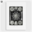 2-59_Ernst-Haeckel_picture