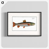 2-59_Ichtyologie-ou-Histoire-naturelle_blk