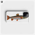 2-59_Ichtyologie-ou-Histoire-naturelle_phone
